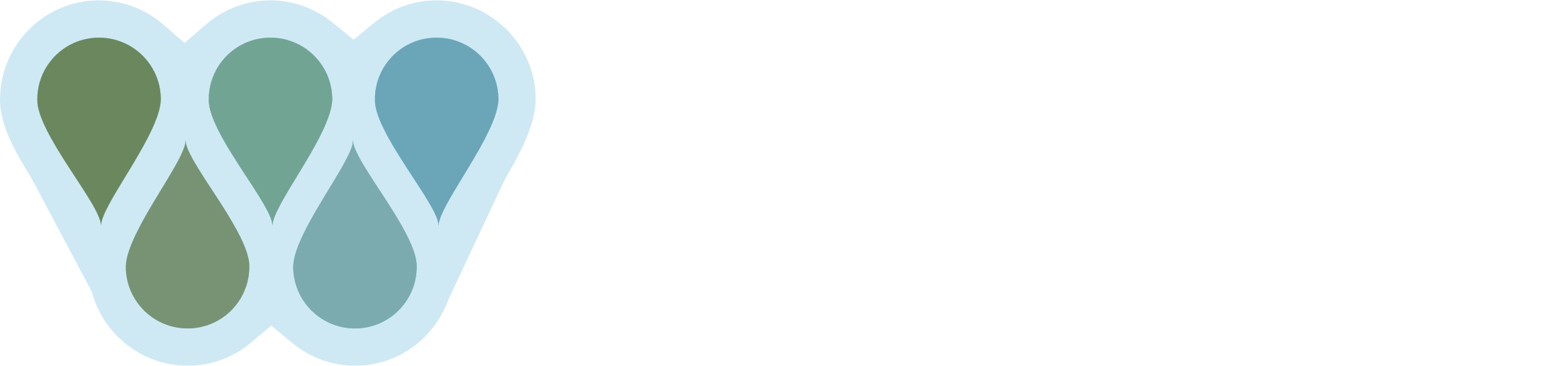 The Water Institute - EnDMC
